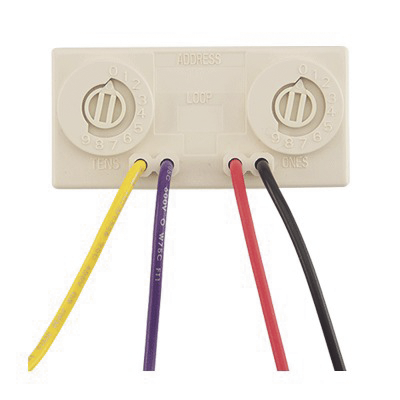 MMF-301